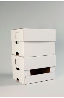 Espositori